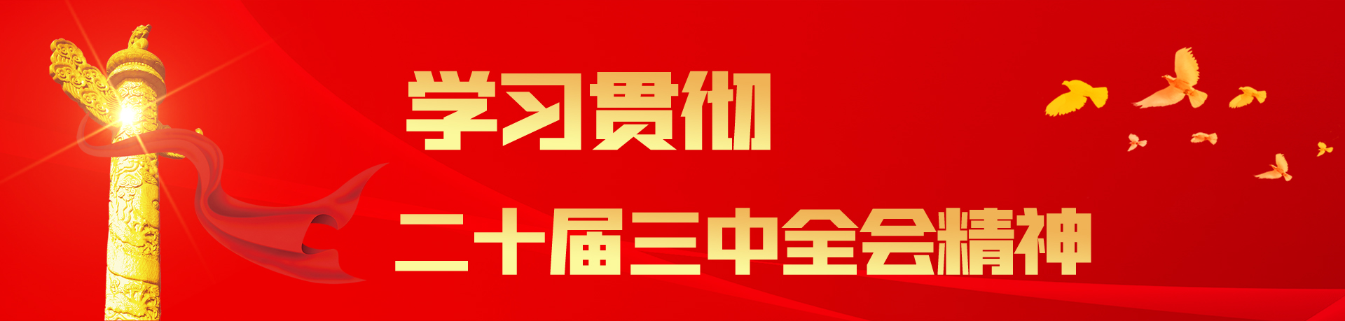 學習二十屆三中全會精神